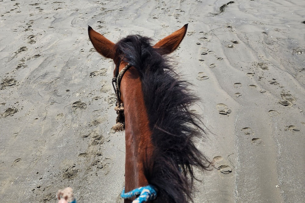 Photo of Others in Lengueta Arenosa