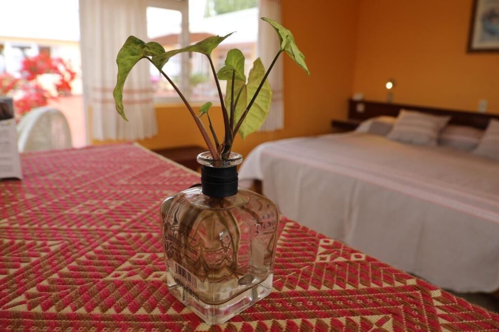 Photo of Bedroom in Ixtapan de la Sal