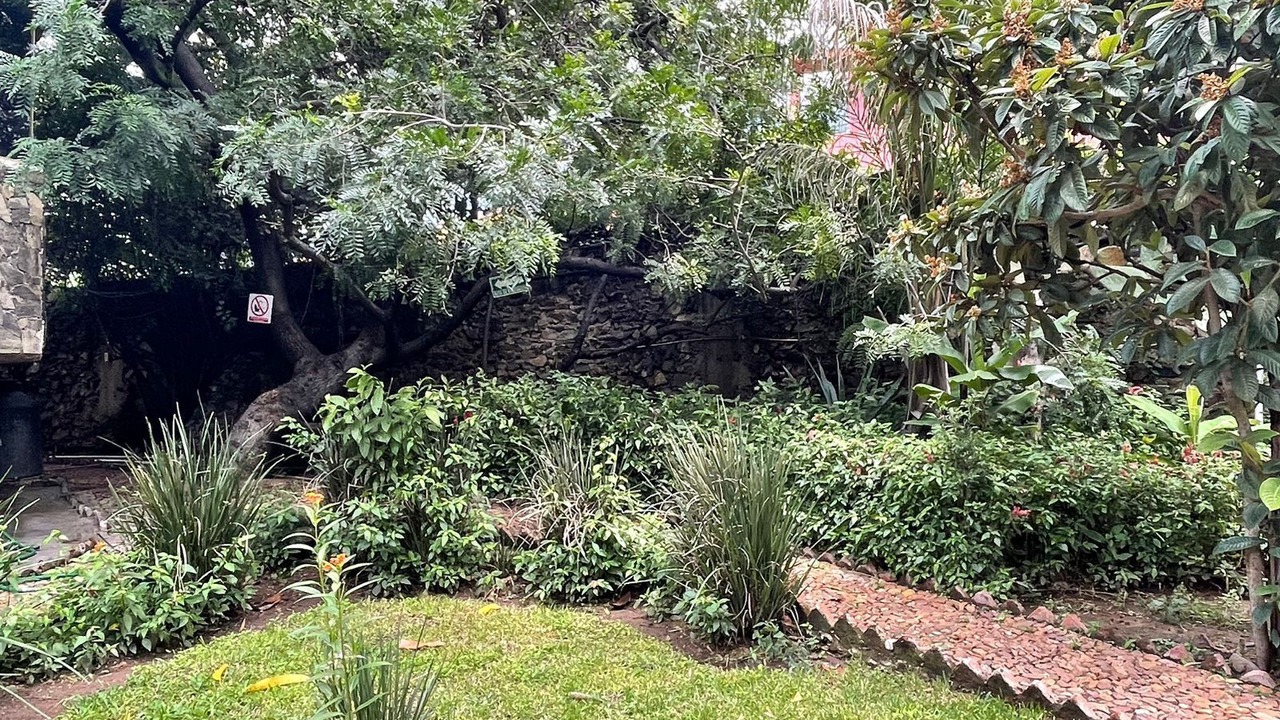 Photo of Outdoor in Ajijic