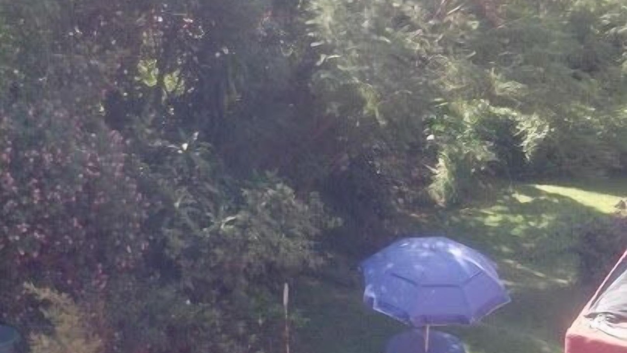 Photo of Outdoor in Cuernavaca