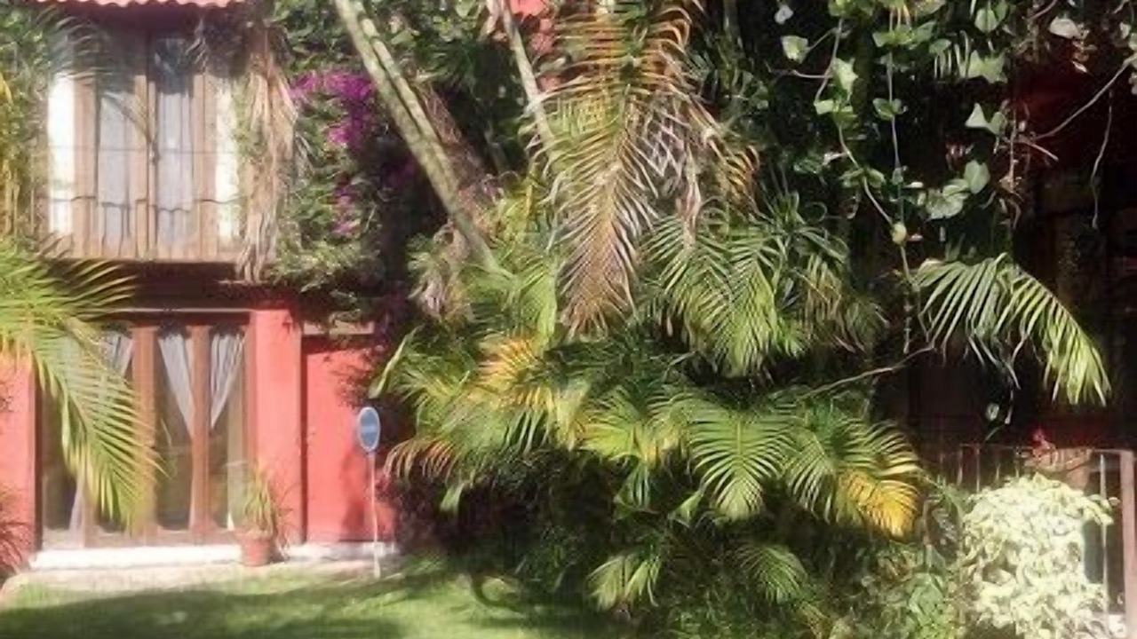 Photo of Others in Cuernavaca