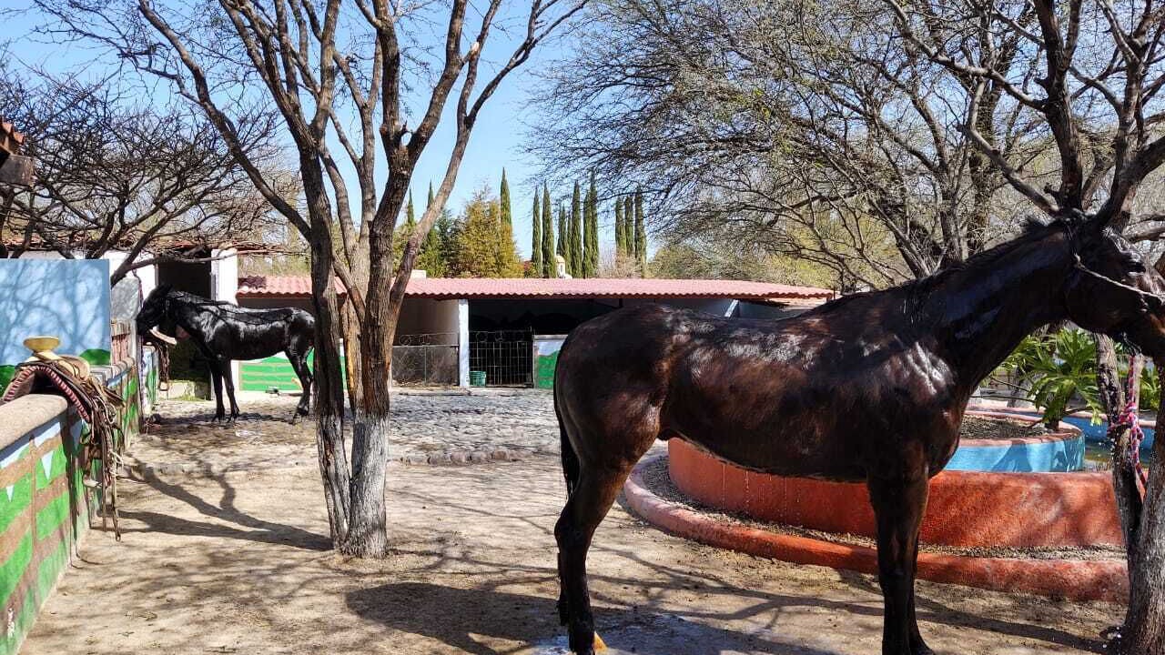 Photo of Outdoor in San Miguel de Allende