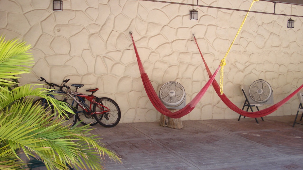 Photo of Outdoor in Zona Centro