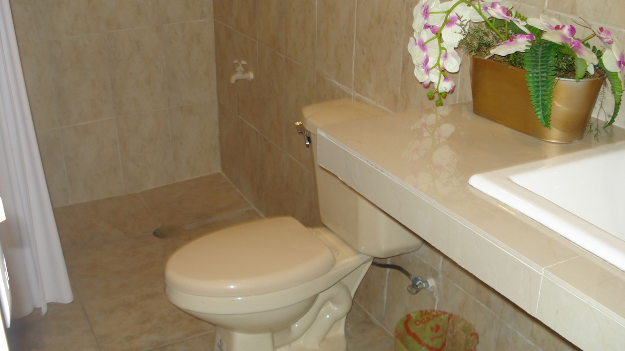 Photo of Bathroom in Zona Centro