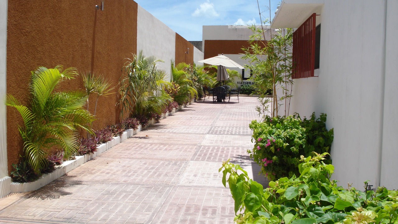 Photo of Patio Balcony in Zona Centro