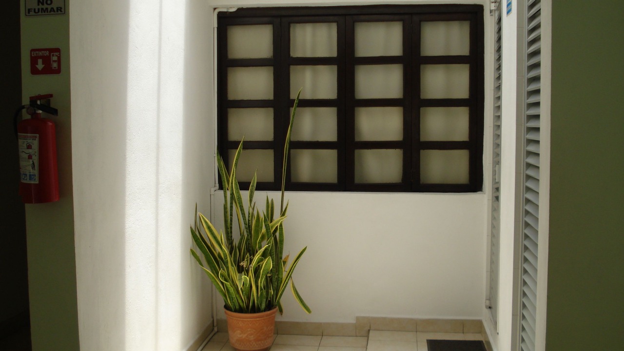 Photo of Others in Zona Centro