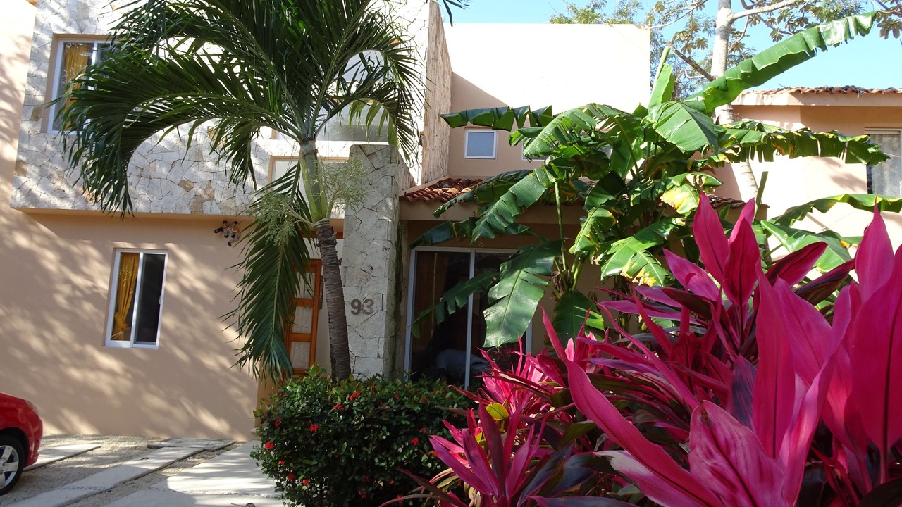 Photo of Outdoor in Puerto Aventuras