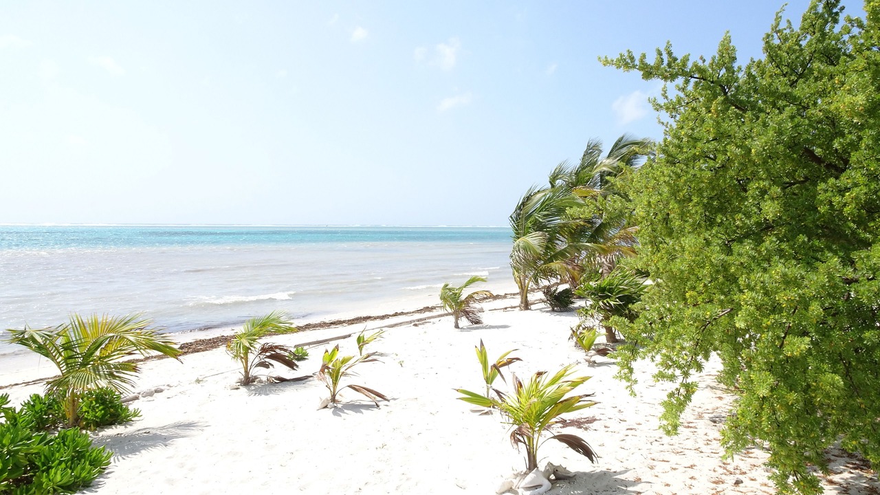 Photo of Others in Puerto Aventuras