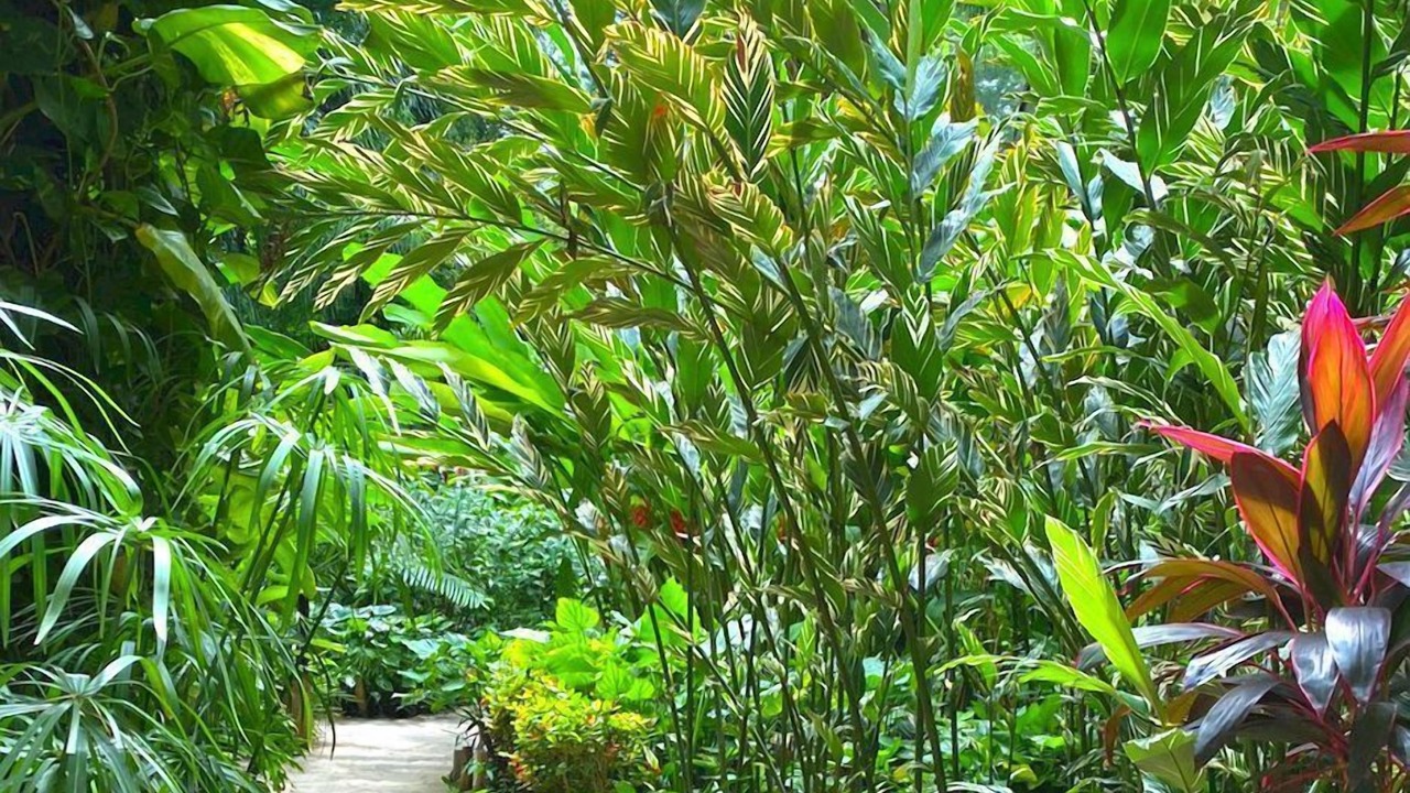 Photo of Outdoor in Chiapa De Corzo