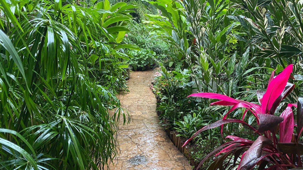 Photo of Outdoor in Chiapa De Corzo