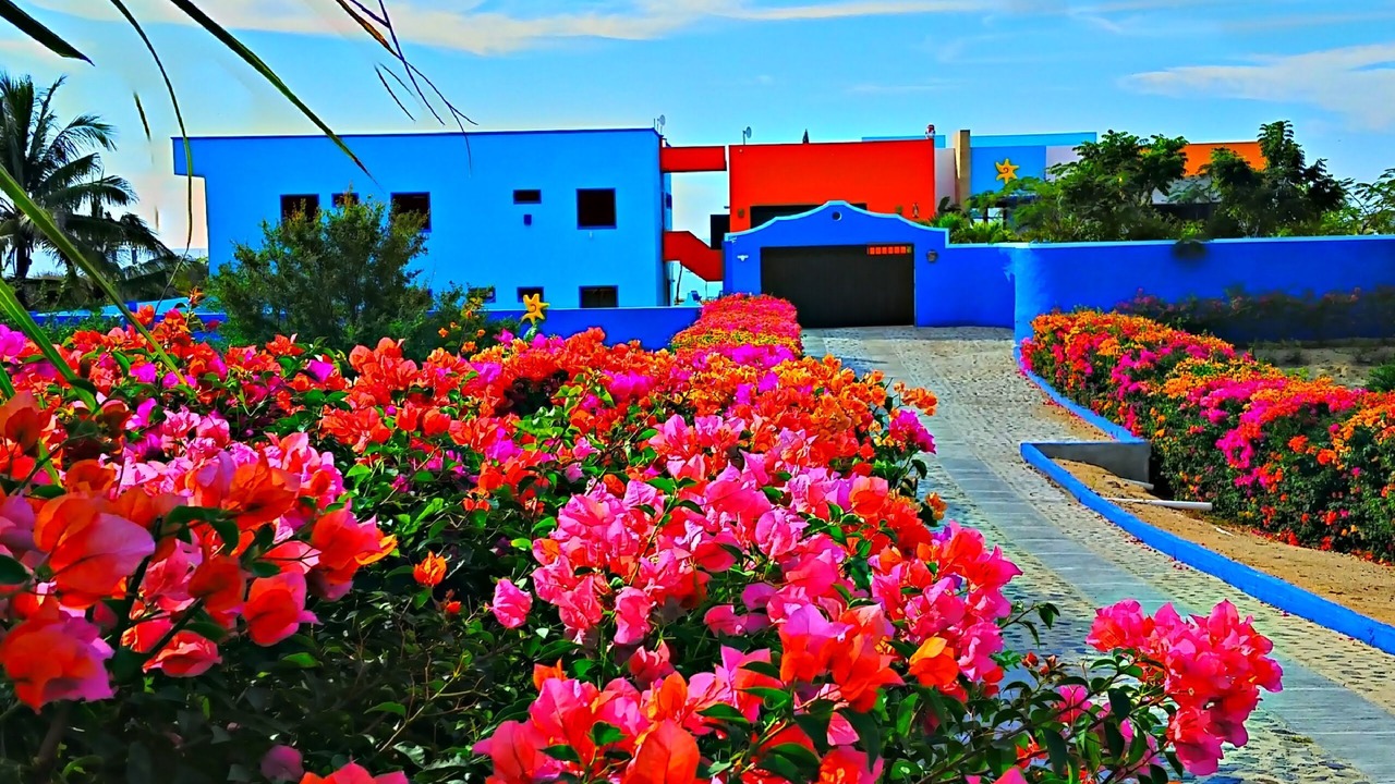Photo of Outdoor in Isla Navidad