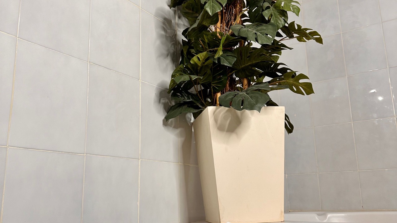 Photo of Bathroom in Fresnillo