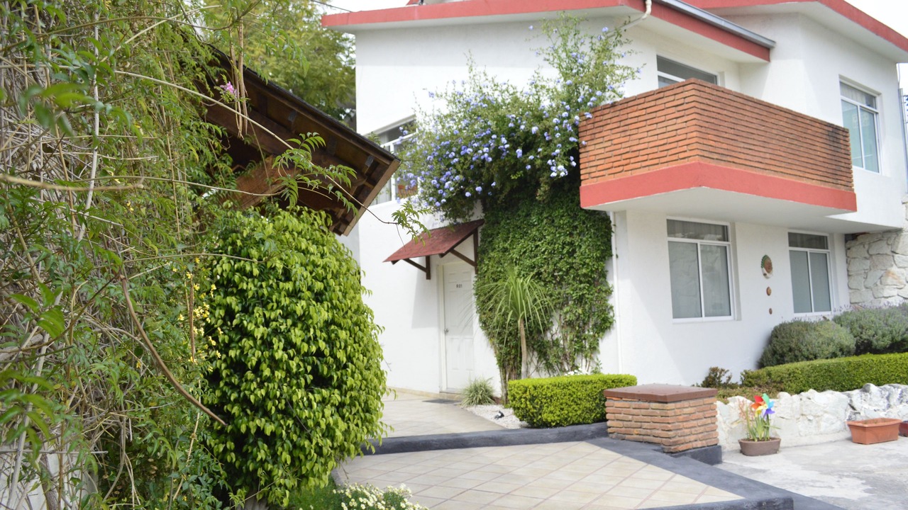 Photo of Outdoor in Pachuca