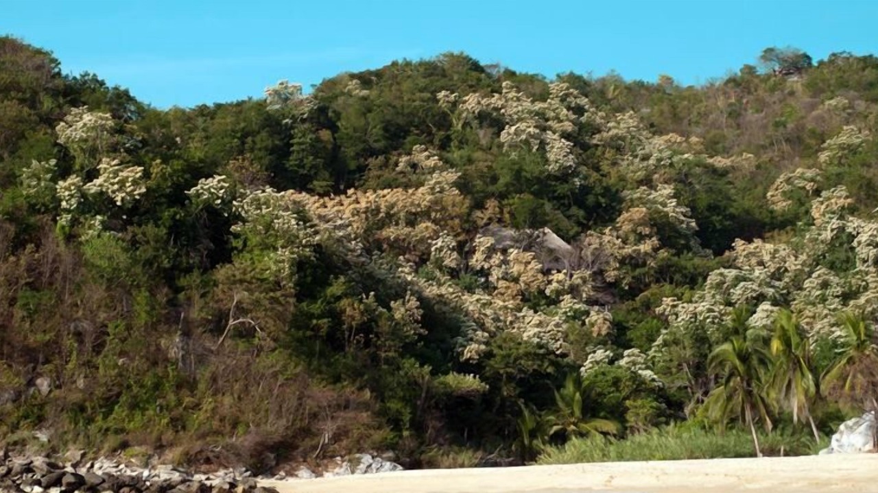 Photo of Others in Arroyo Cruz