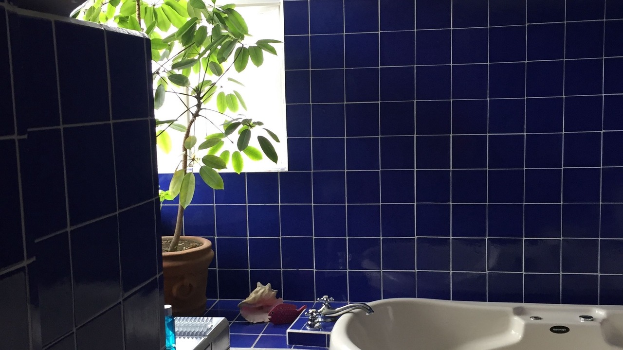 Photo of Bathroom in Del Carmen