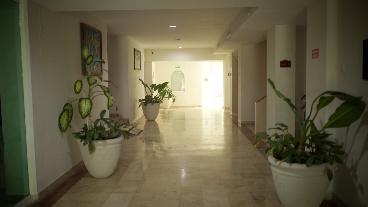 Photo of Others in San Juan Bautista Tuxtepec