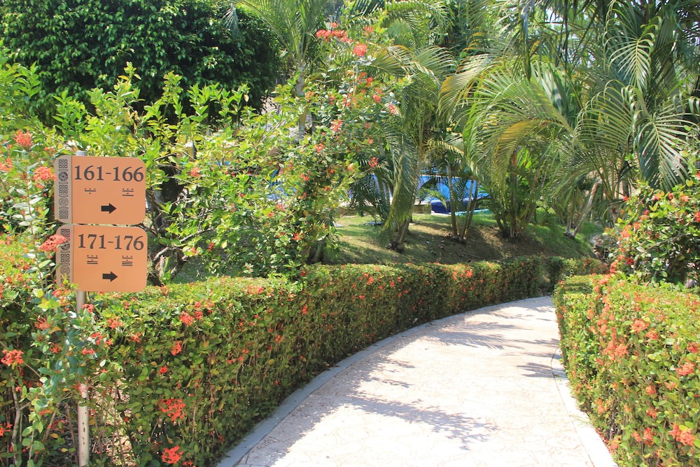 Photo of Outdoor in Palenque