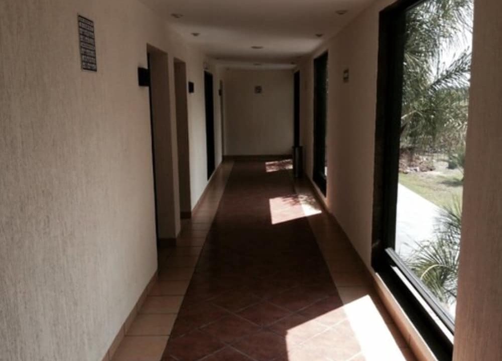 Photo of Others in San Juan del Rio