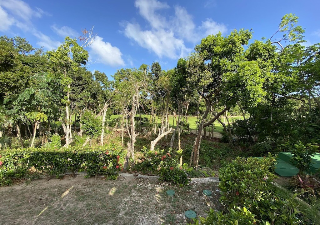 Photo of Outdoor in Akumal