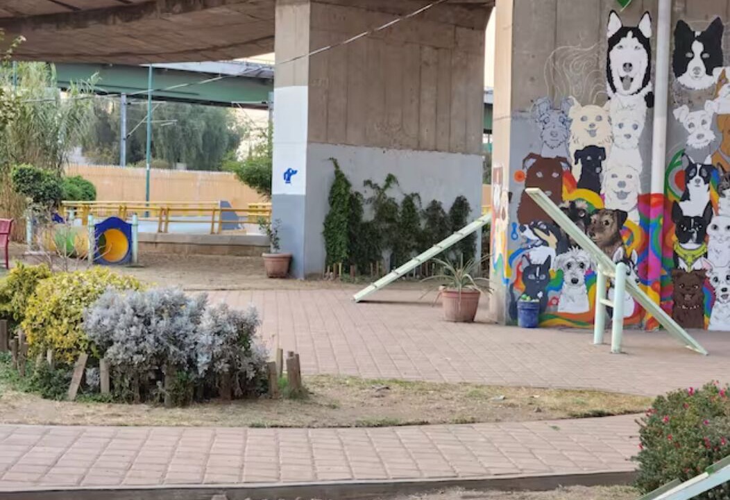 Photo of Others in Azcapotzalco