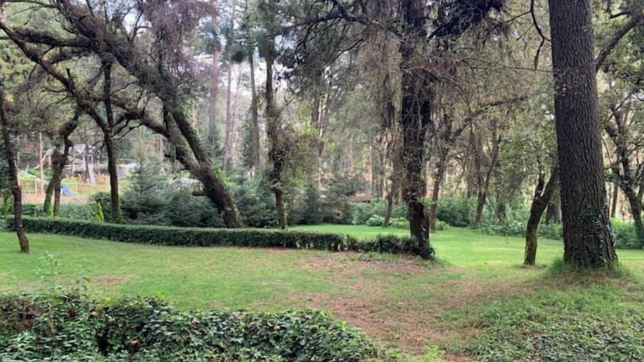 Photo of Outdoor in Huitzilac