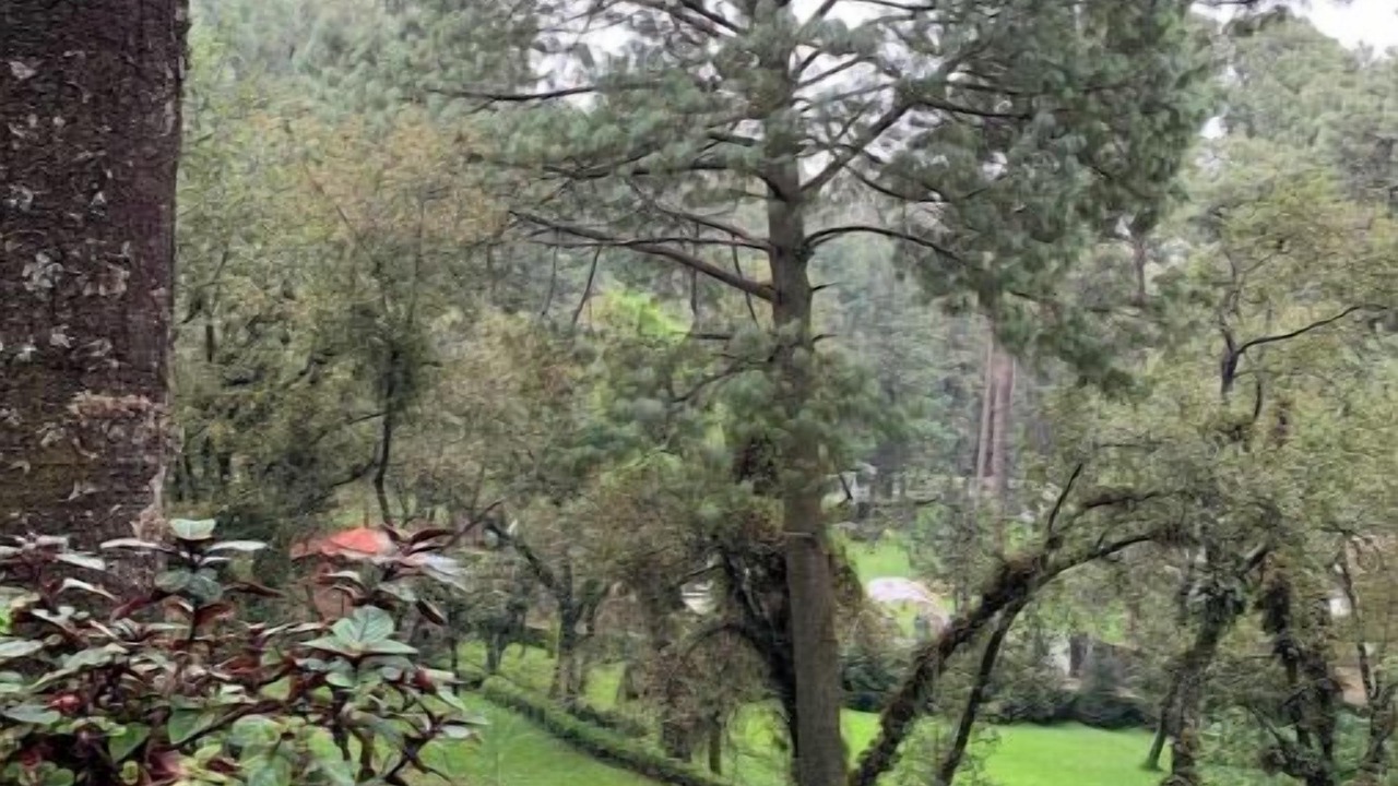 Photo of Outdoor in Huitzilac