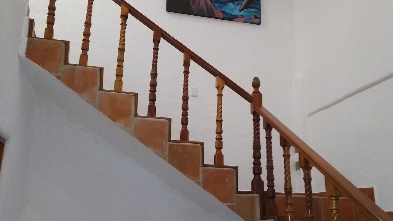 Photo of Others in Almacen