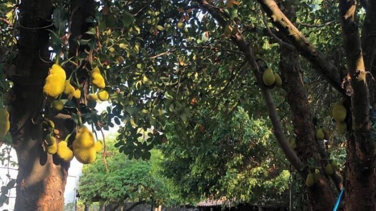 Photo of Outdoor in Jiutepec