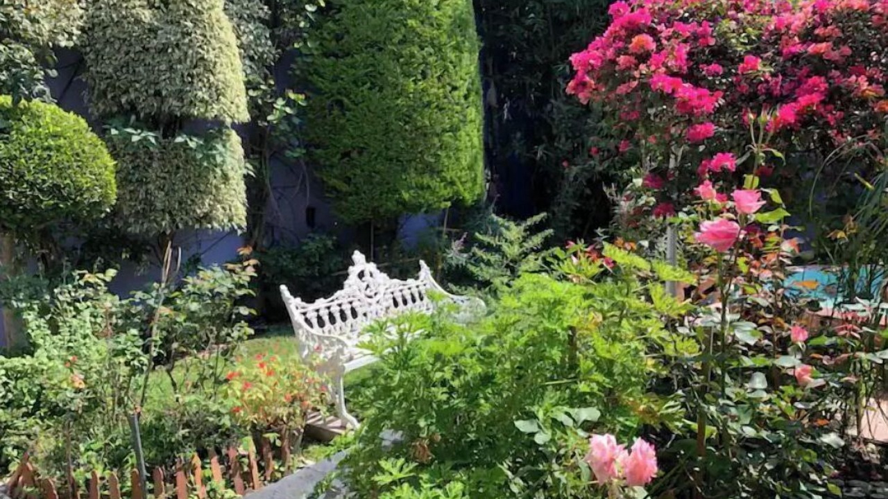 Photo of Outdoor in Del Carmen