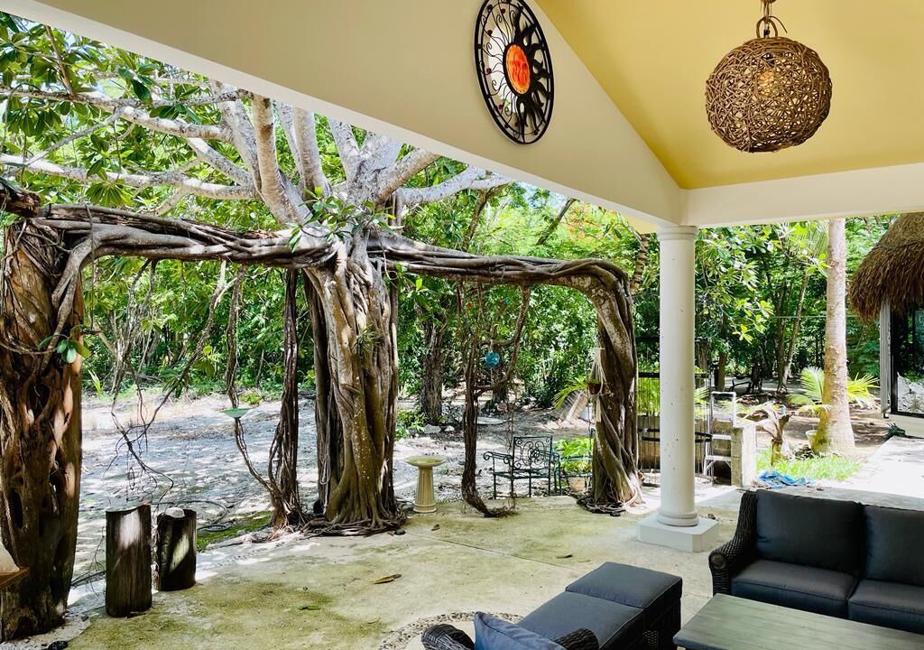 Photo of Others in Xpu-Ha