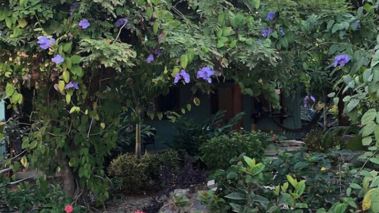 Photo of Outdoor in Troncones