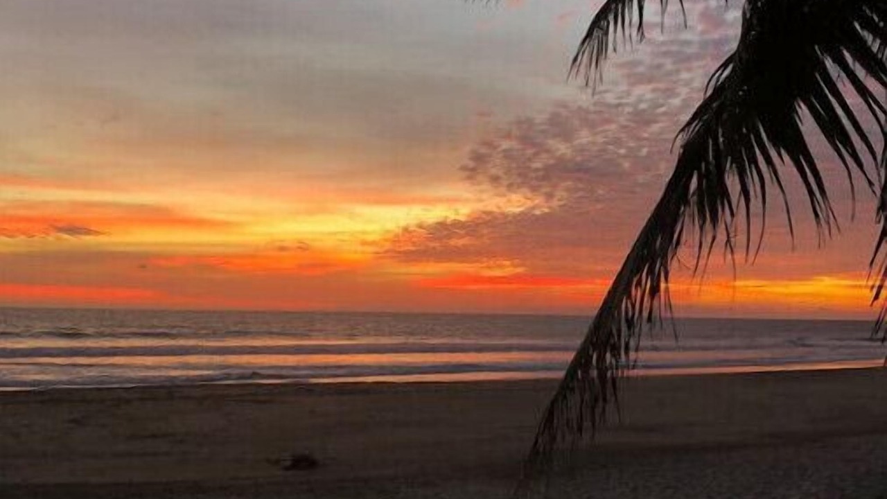 Photo of Others in Troncones