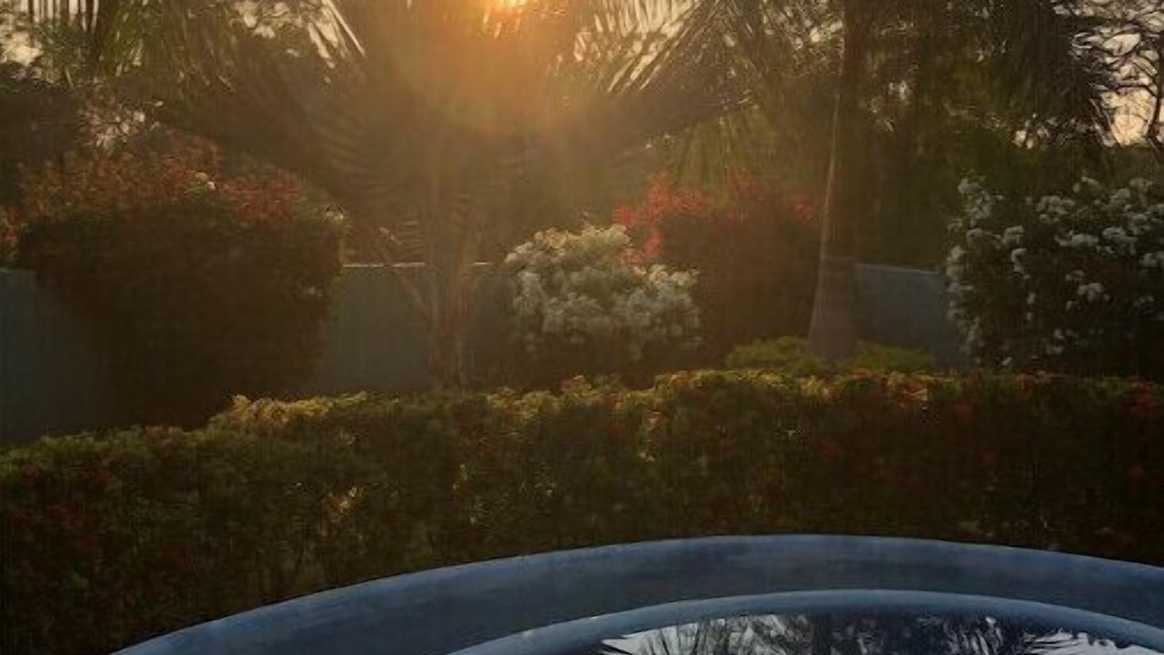 Photo of Outdoor in Troncones