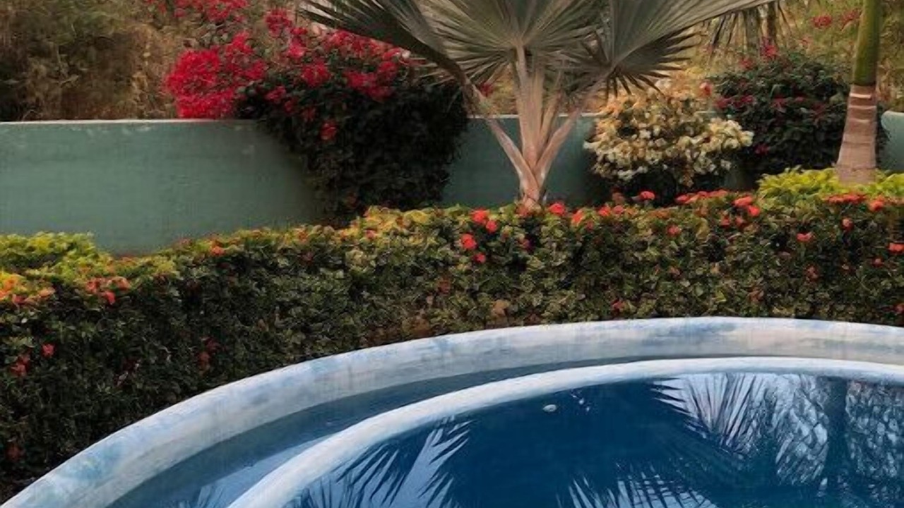 Photo of Outdoor in Troncones