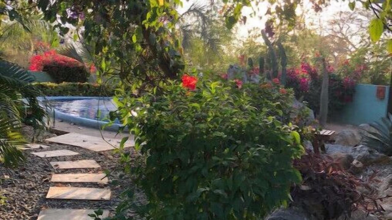 Photo of Outdoor in Troncones