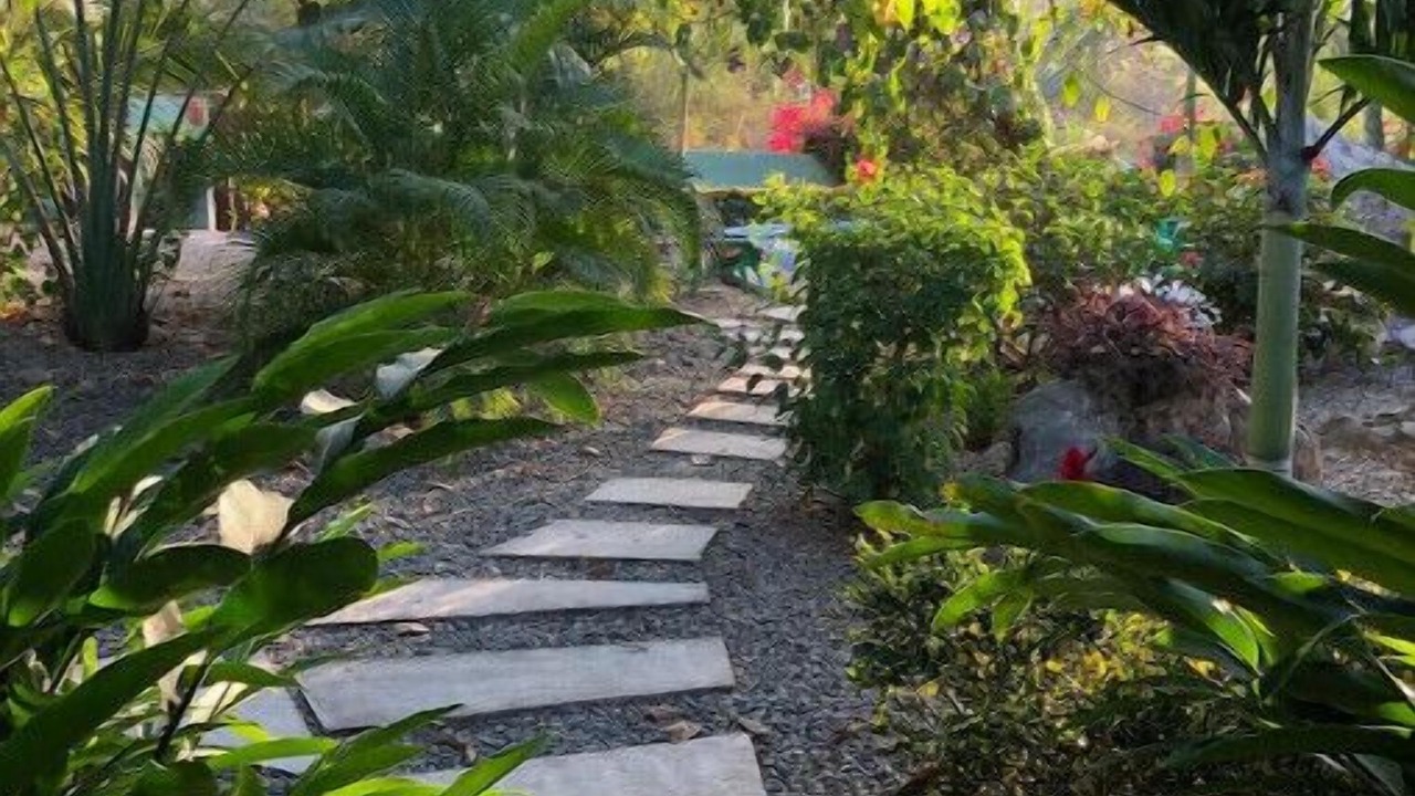 Photo of Outdoor in Troncones