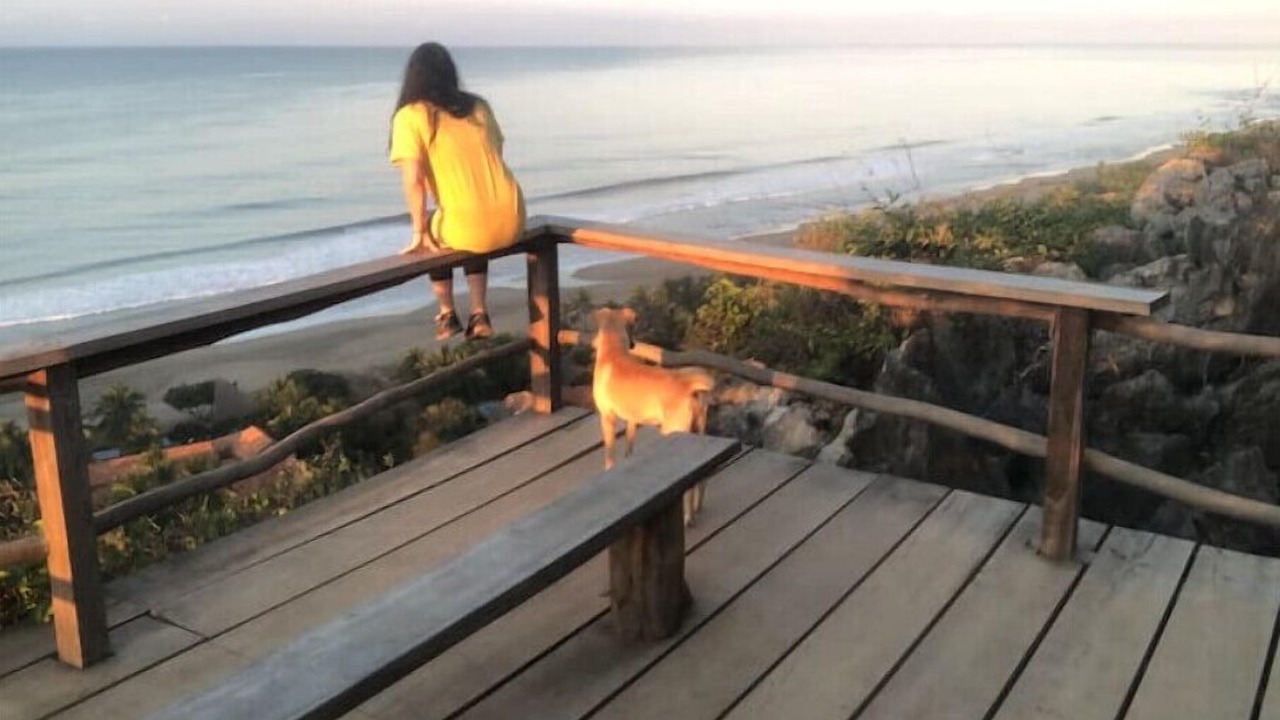 Photo of Outdoor in Troncones