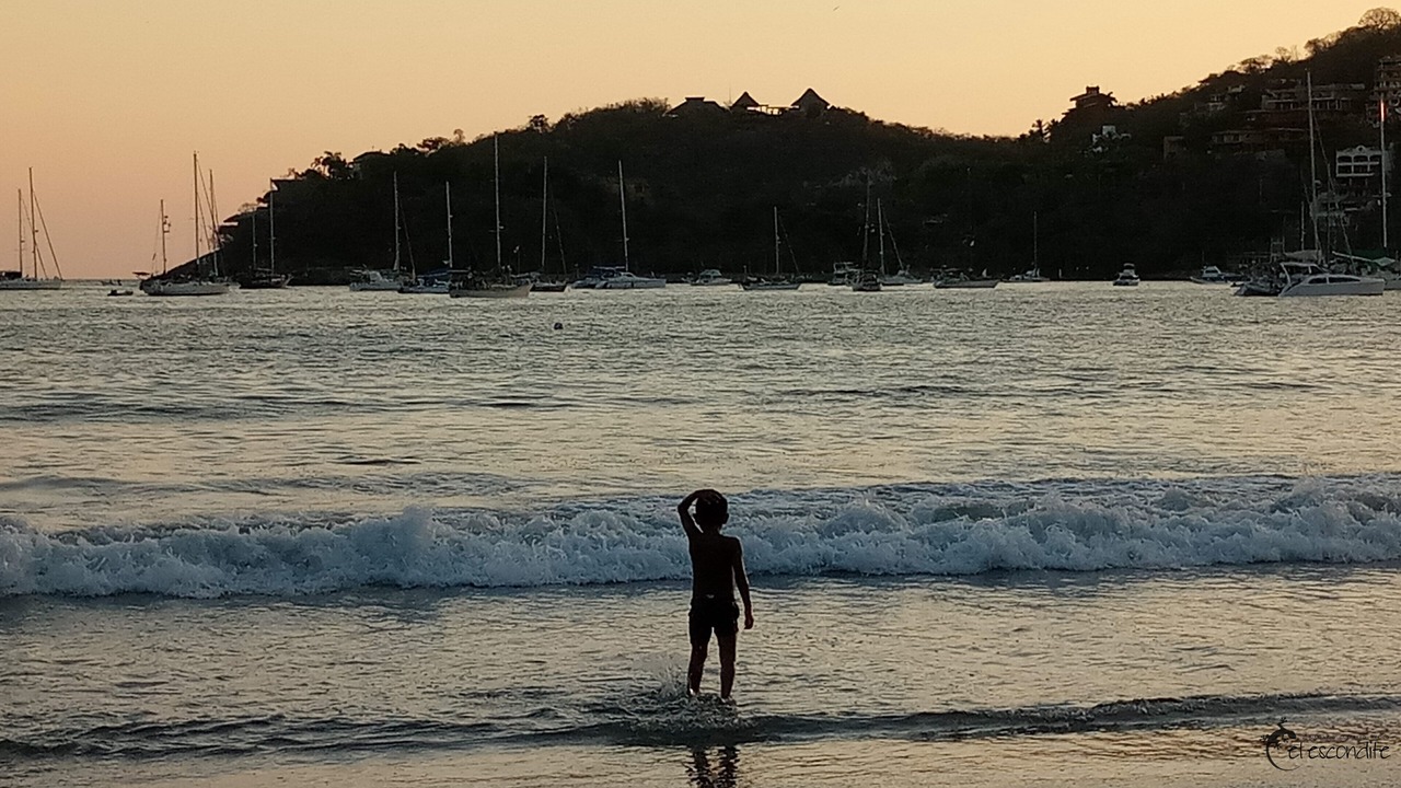 Photo of Others in Ixtapa - Zihuatanejo