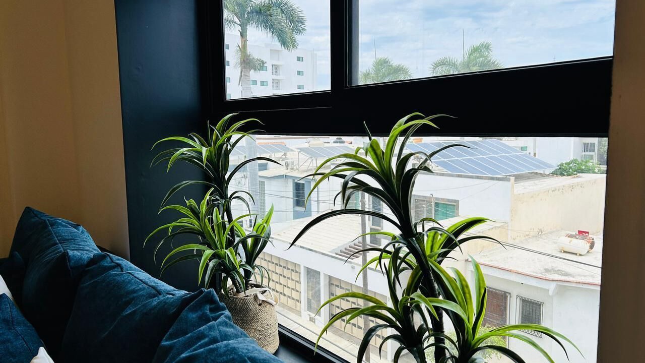 Photo of Livingroom in Mazatlan
