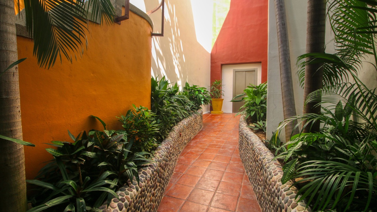Photo of Others in Ixtapa - Zihuatanejo