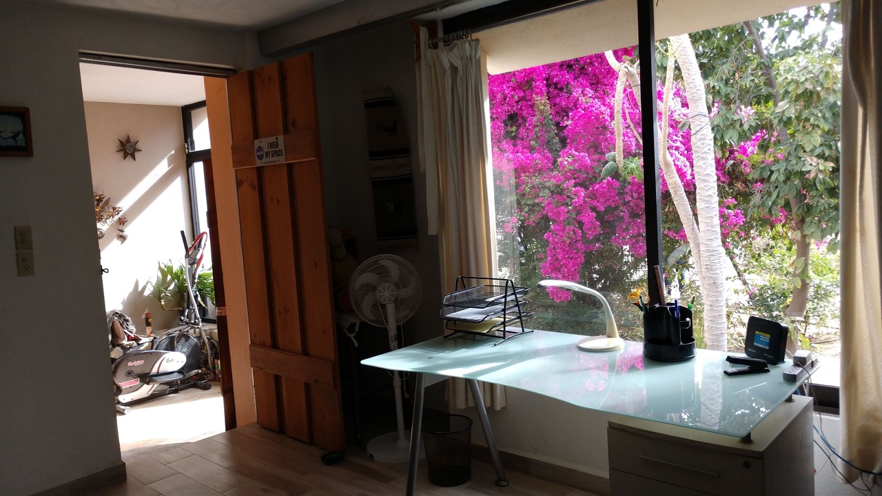 Photo of Others in Mauricio Castro