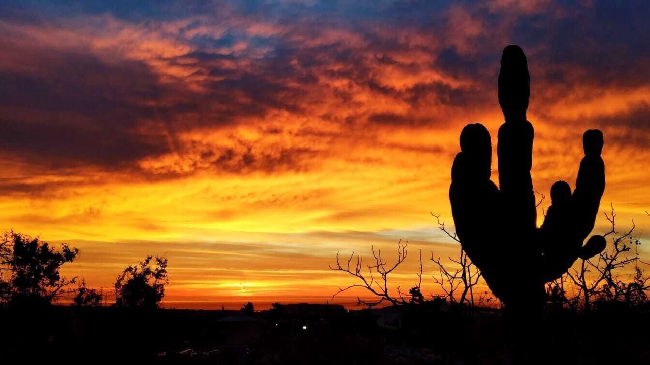 Photo of Others in Mauricio Castro