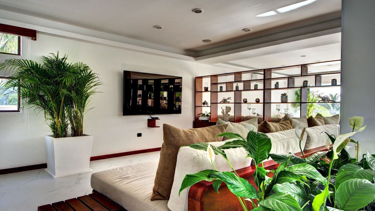 Photo of Others in Playacar Fase I