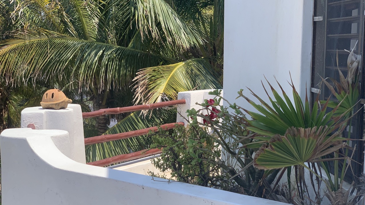 Photo of Outdoor in Majahual