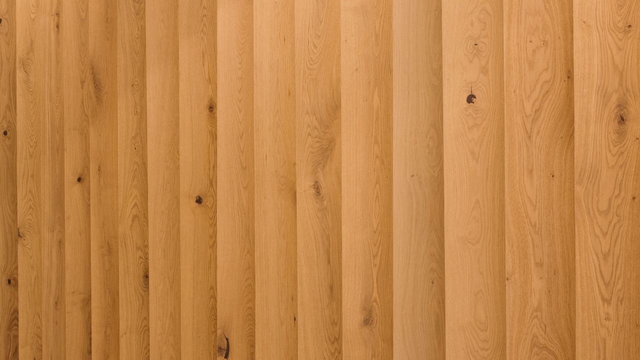 Photo of Others in Miguel Hidalgo