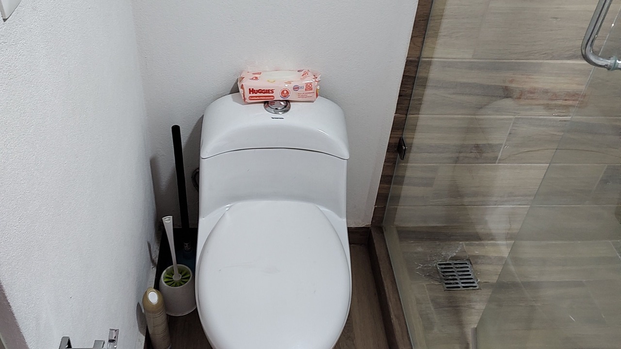 Photo of Bathroom in Downtown Mexico City