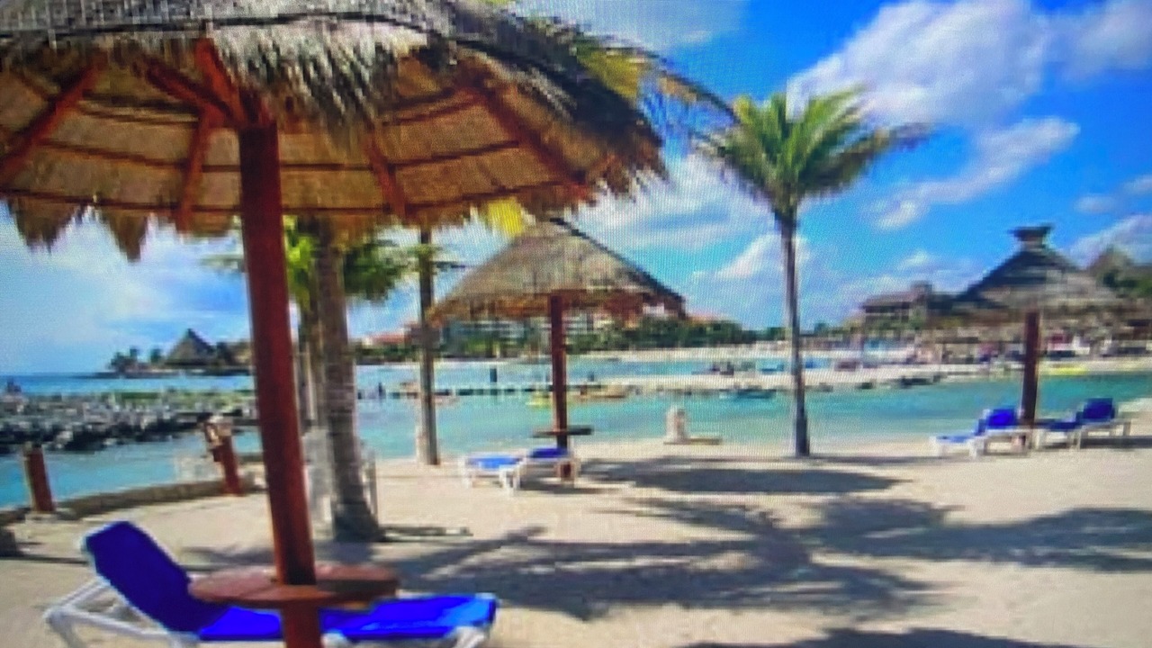 Photo of Others in Puerto Aventuras