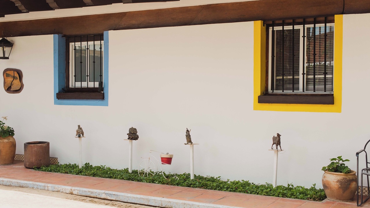 Photo of Outdoor in Oaxaca