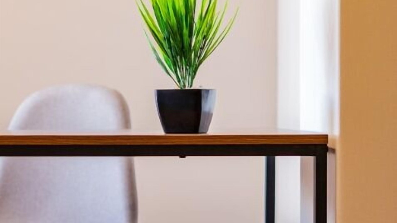 Photo of Others in Benito Juarez