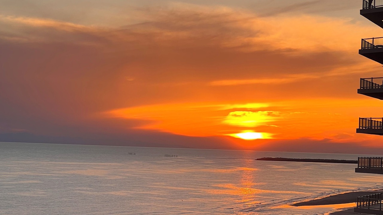 Photo of Others in Puerto Penasco